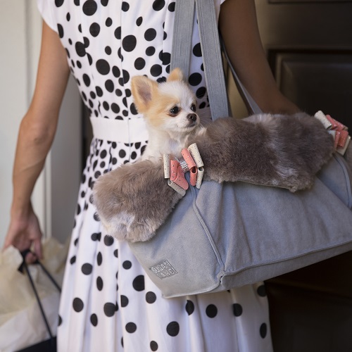 luxury pet carrier
